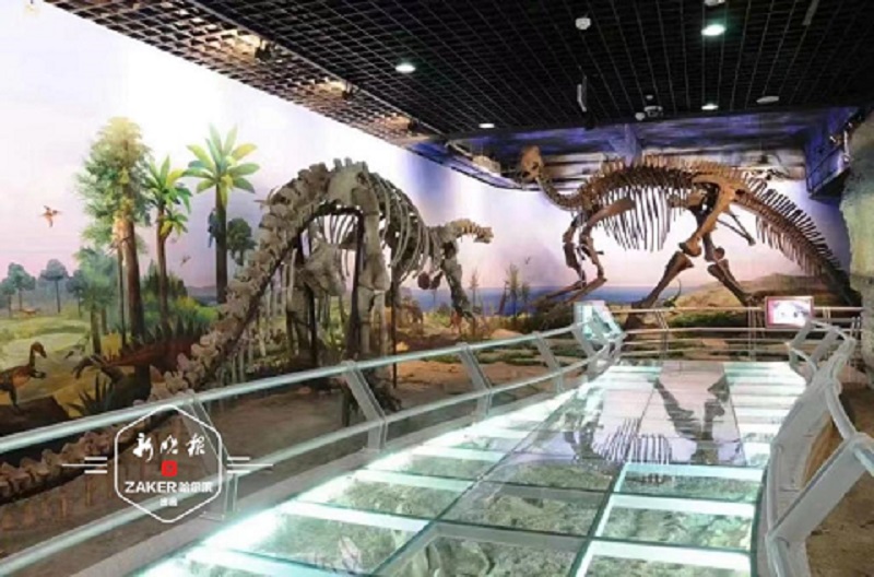 哈爾濱市有多少科普教育基地？
